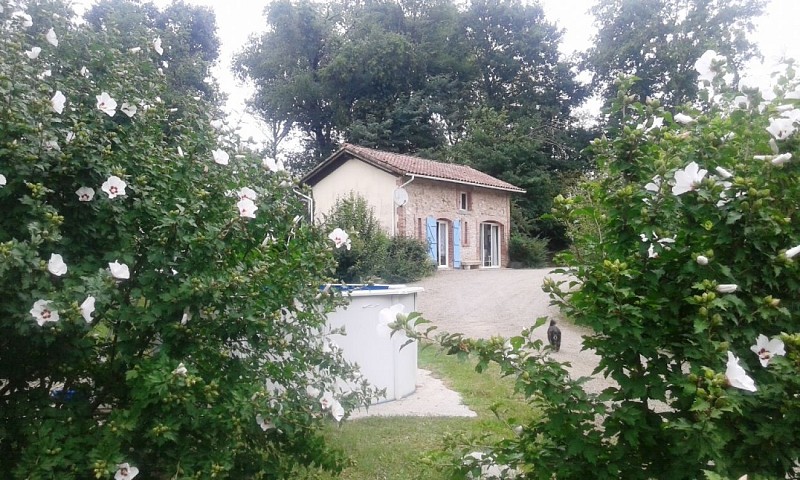 Martin - gîte Laplante