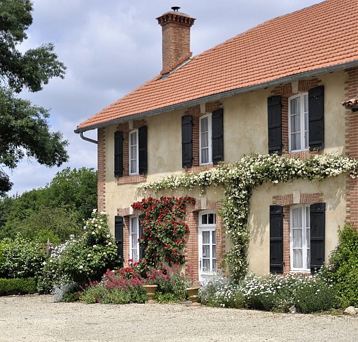 20111 - Gîte Petit départ à Parleboscq - Gîtes de france Landes