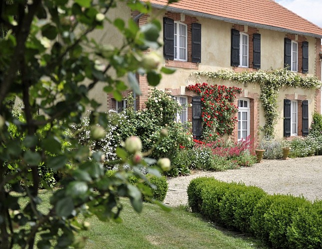 20111 - Extérieur du Gîte Petit départ à Parleboscq - Gîtes de france Landes