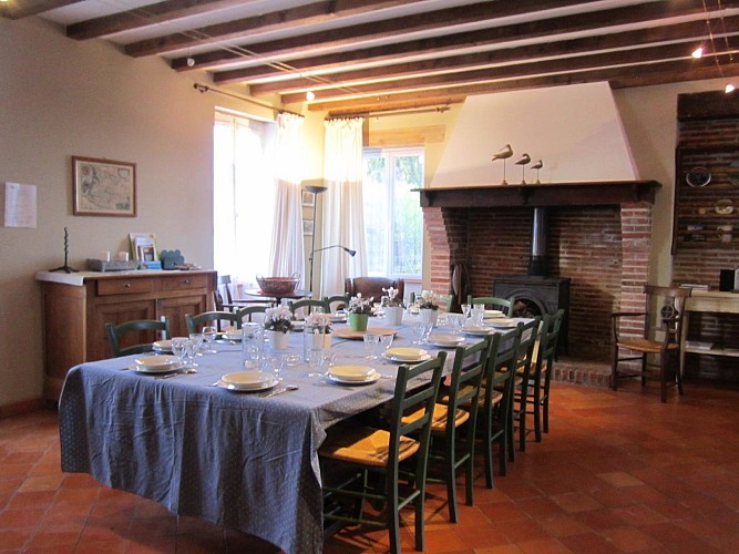 Séjour et cheminée du Gîte Petit départ à Parleboscq - Gîtes de france Landes