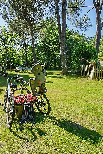 vélos et jardin