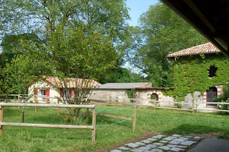 Domaine de Montfleury