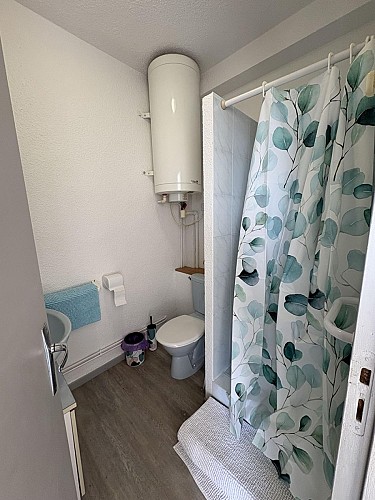 Les Hirondelles n°3 (4)