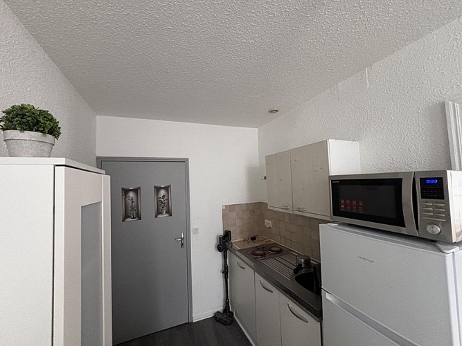 Les Hirondelles n°4 (1)