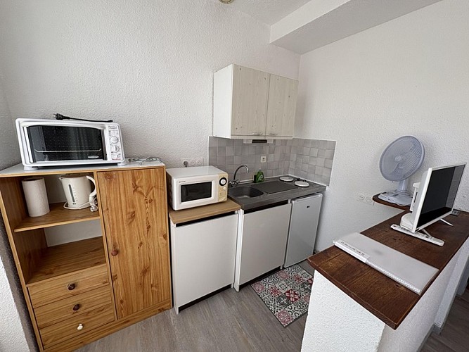 Les Hirondelles n°3 (3)