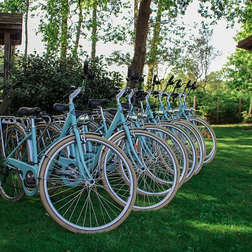 110-locations-glorieux-landes-atlantique-bnb1-HLOAQU040V50GCNN-size2048