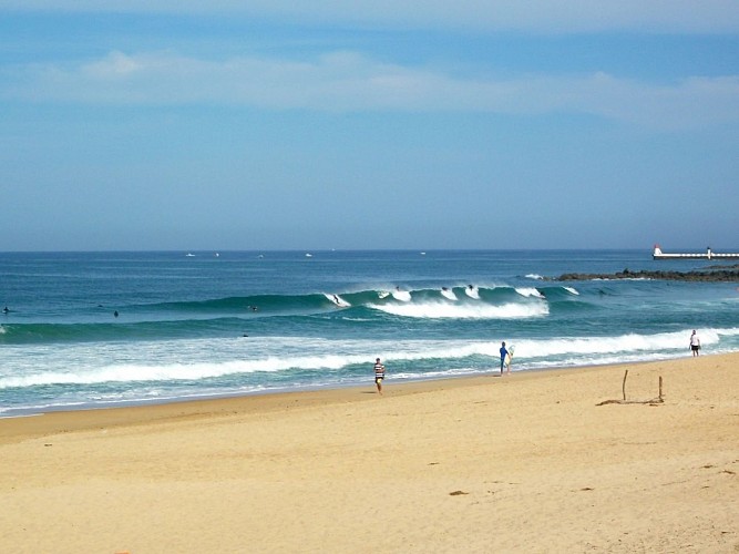 Les Bruyères_Capbreton_Landes Atlantique Sud