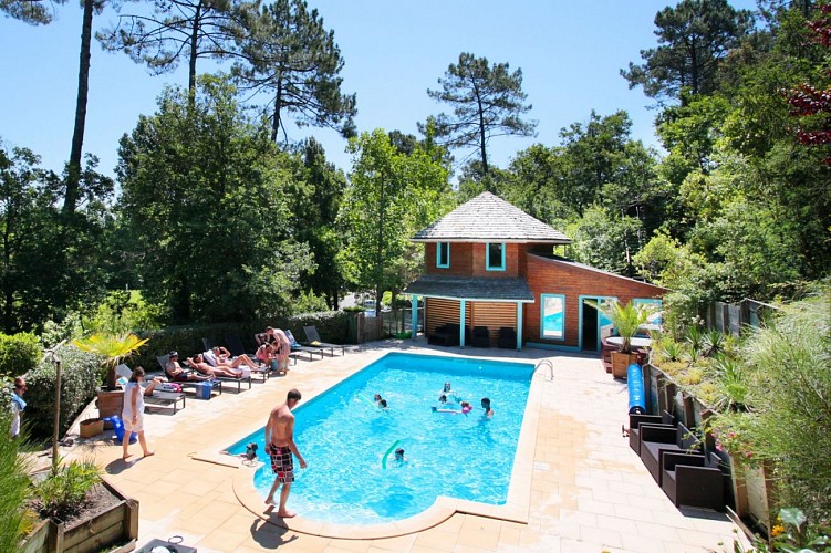 Piscine du Gîte Nature et Océan 20938 à Messanges