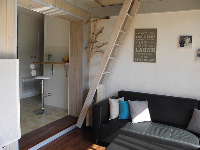 Location de vacances - Despeyroux _Moliets_Landes Atlantique Sud