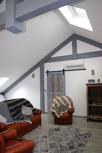 Sarciat - salon velux