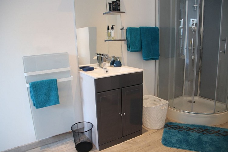 Sarciat - salle d'eau douche