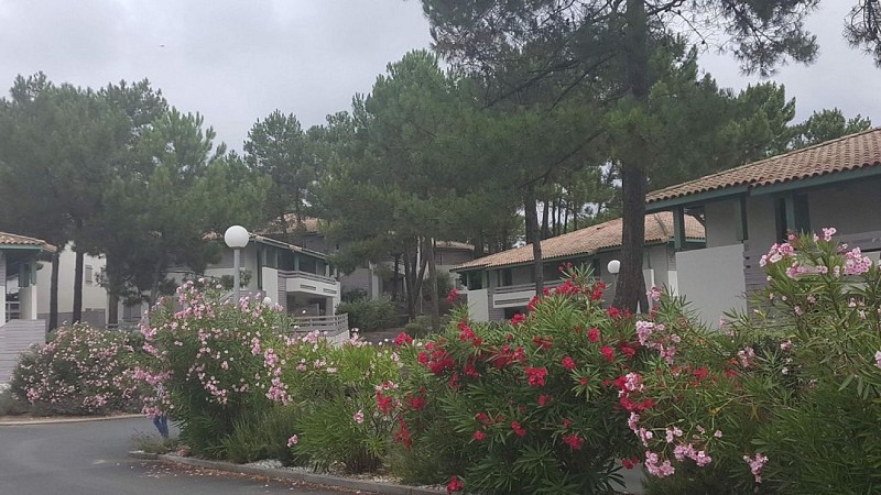 102-appartement-sylvia-moliets-bnb1-HLOAQU040V50NM9V-size2048-op