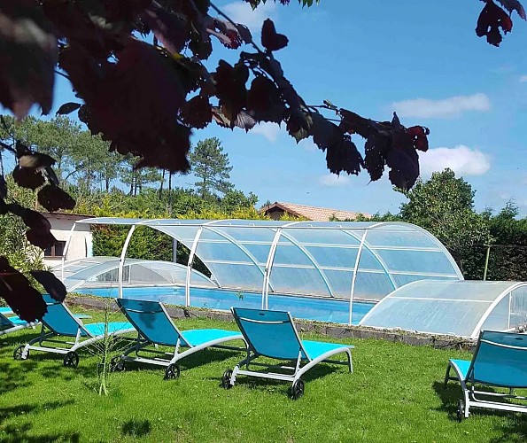 Piscine Grande villa marronnier à Vielle st Girons avec Gites de France Landes