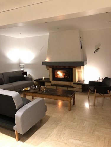 Salon Grande villa marronnier à Vielle st Girons avec Gites de France Landes