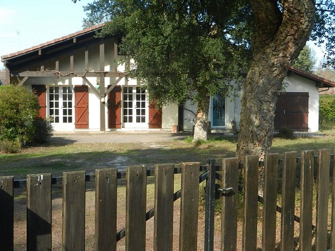 Les chênes lièges à Moliets avec Gîtes de France Landes