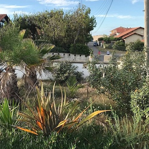 landes_atlantique_sud_vieux_boucau