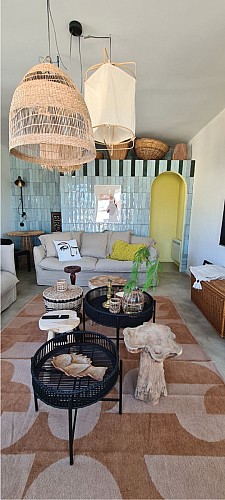 Dauphin 1_Vieux-Boucau_Landes Atlantique Sud