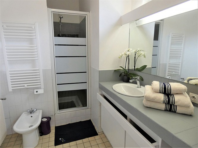 Salle d'eau Appartement de la villa Colibris à Dax avec Gîtes de France Landes