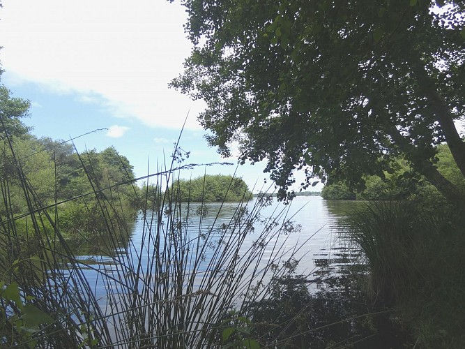 Landaise du lac à Léon avec Gîtes de France Landes au bord du lac