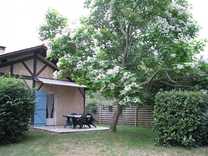photo14