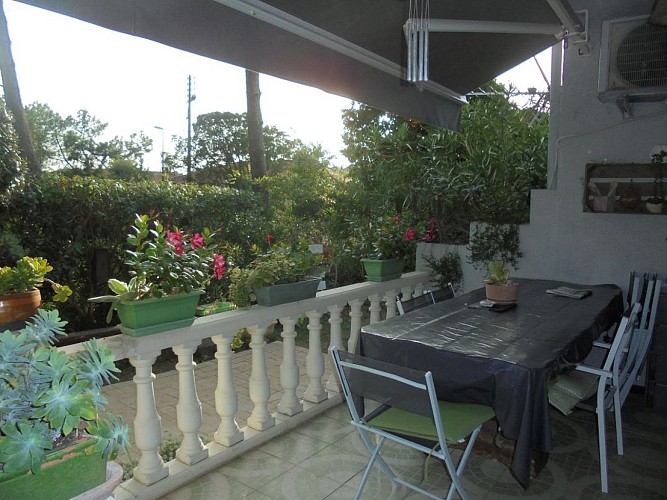 les vignes_Vieux-Boucau_LandesAtlantiqueSud