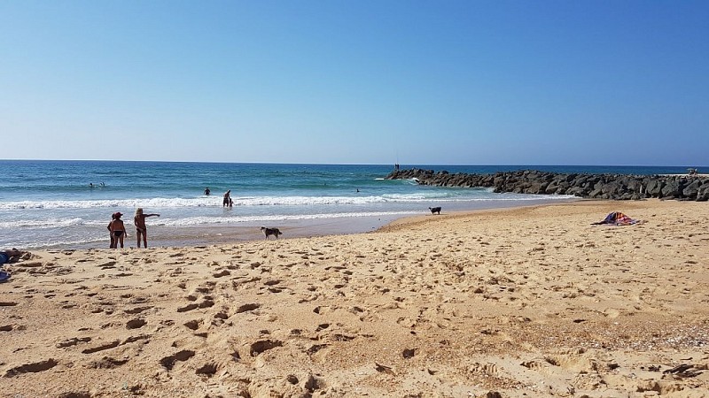 vieux_boucau_landes_atlantique_sud