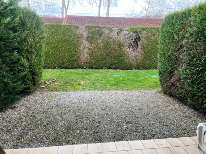 Les Albizias I n°7 (2)