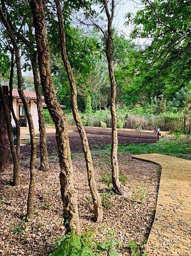 Jardin de la maisonnette boussouayre à Moliets avec Gîtes de France Landes