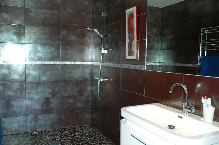 Salle de bain de la Casa Léon à Léon avec Gites de France Landes