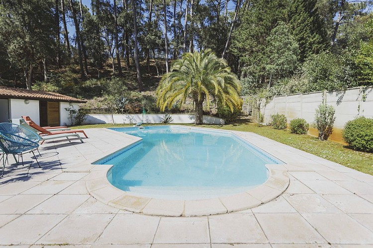 Bonneau_Capbreton_LandesAtlantiqueSud6