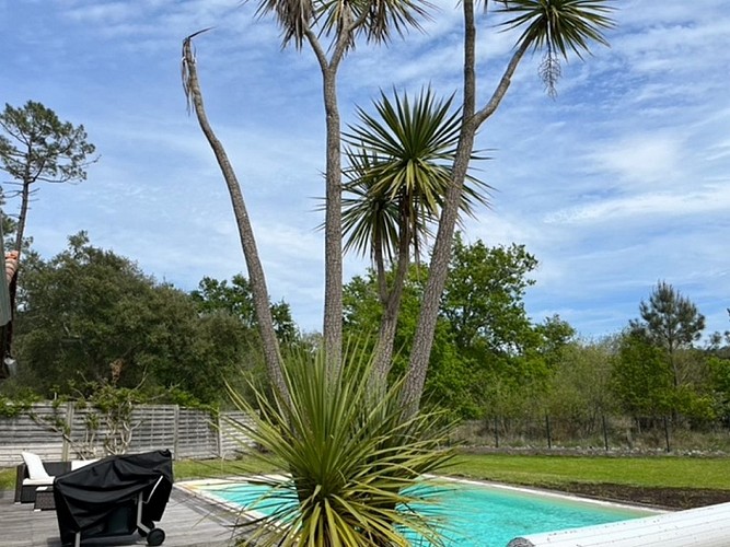 Villa Hale'Ohana_Moliets_Landes Atlantique Sud