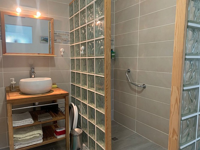 Salle de bain douche et vasque