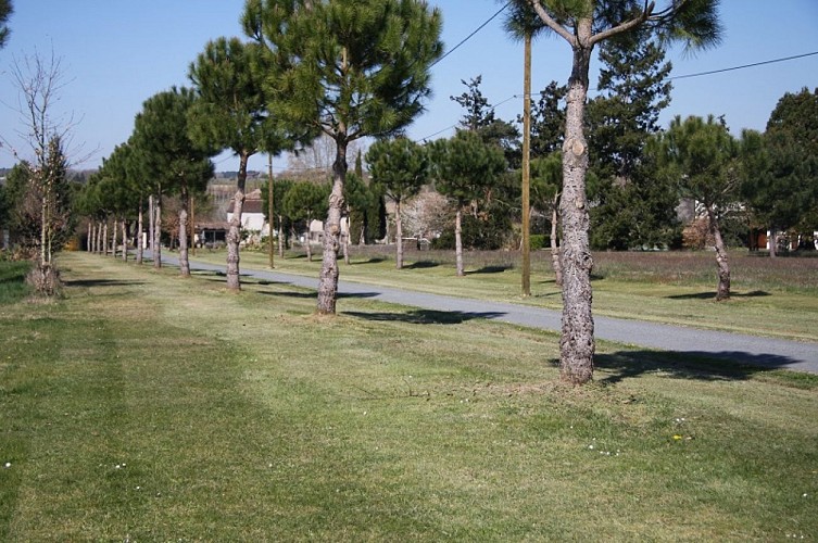 la sauvetat-boissec-allee