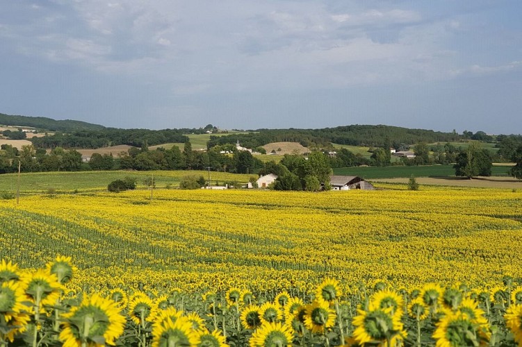 HLOAQU047FS0005K_TIOZZO_grande03