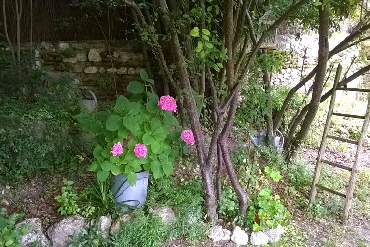 HLOAQU047FS003C4-grande4-2