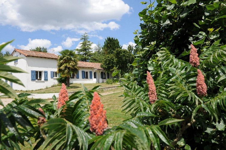 Simply maison vacances légère