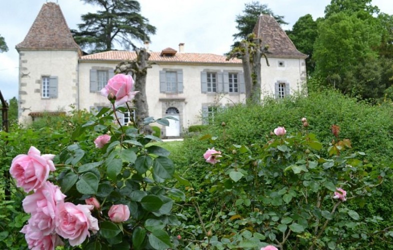 Chateau-Lassagne-2