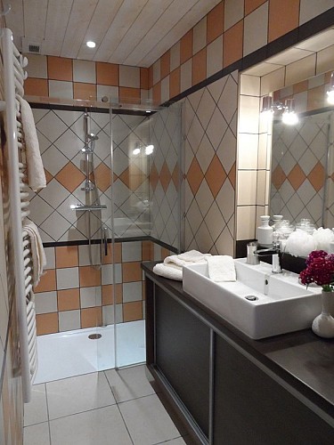 cclt_hlo_gitemarty_salledeau