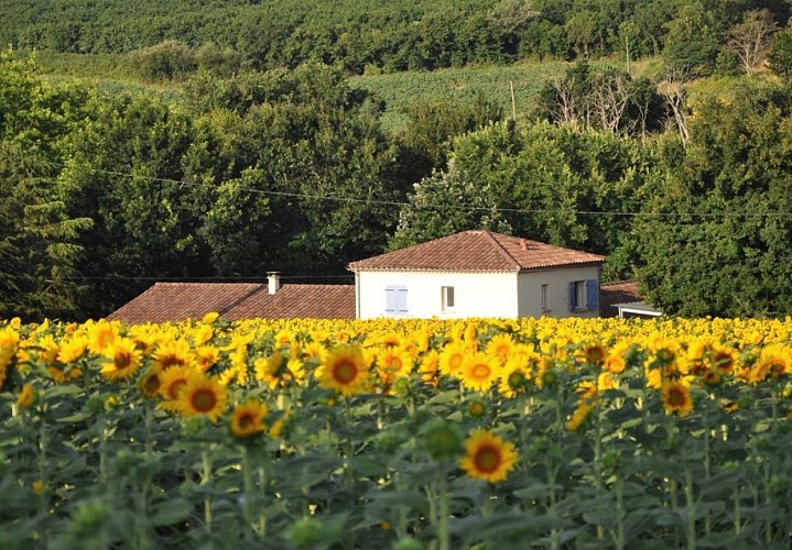 Lencouet-gite-le-galeau-8