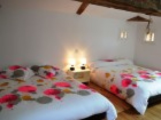 St-Sylvestre-Sevic-Gite-de-Colis-ch1