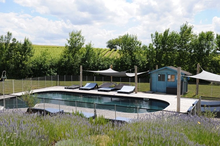 Simply canvas maison pierre