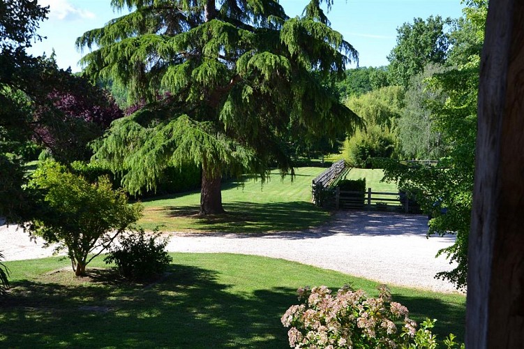 HLOAQU047V508845_jardin