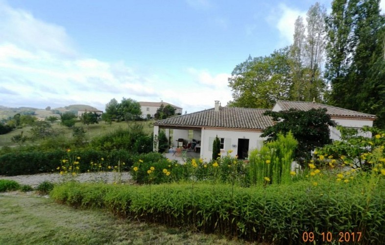 Les Lauriers de Berann (5)