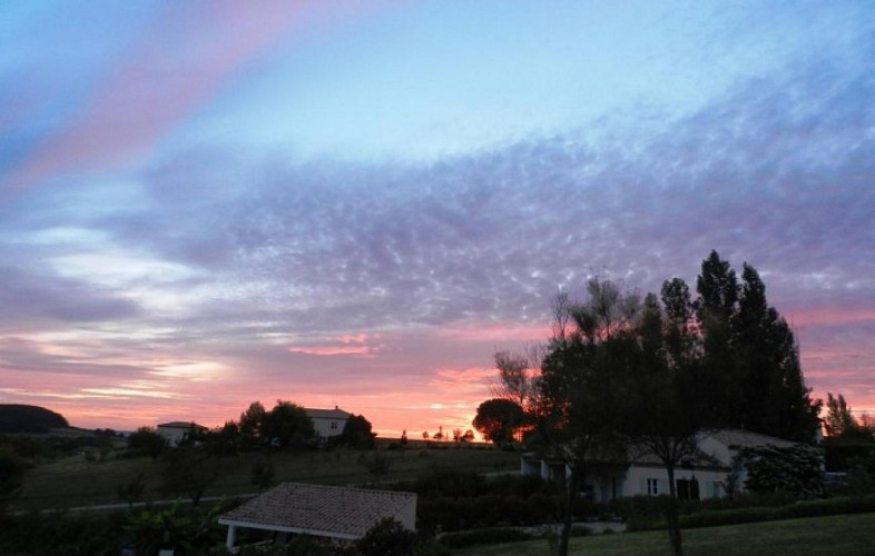 Les Lauriers de Berann (11)