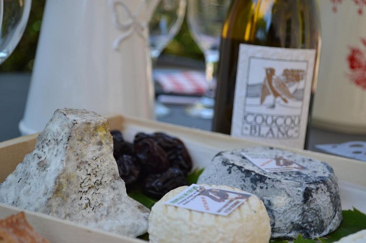 HLOAQU047V509UOO_Chantegri_photo14