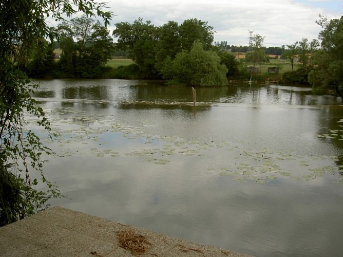 Petite maison Moulin Cocussotte