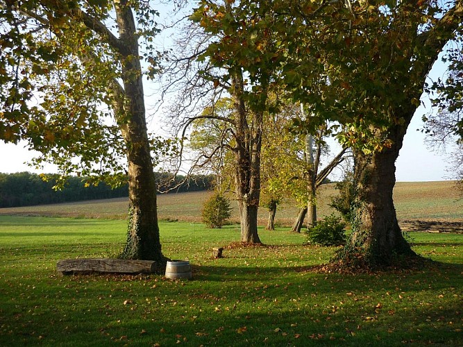 HLOAQU047V50BAAJ_GdF_1460_11