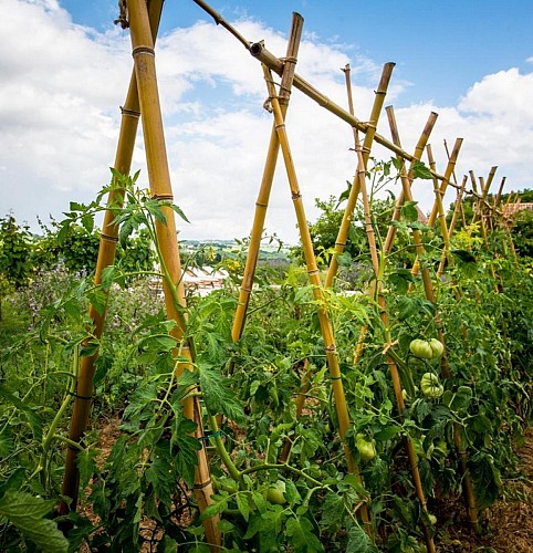 Gite-de-Montauzet-10