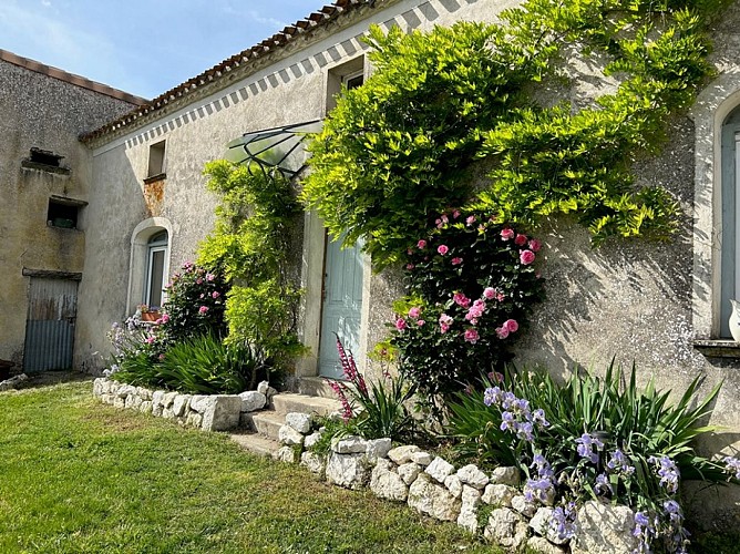 Petit Clos Petterson St Jean 2025 (1)