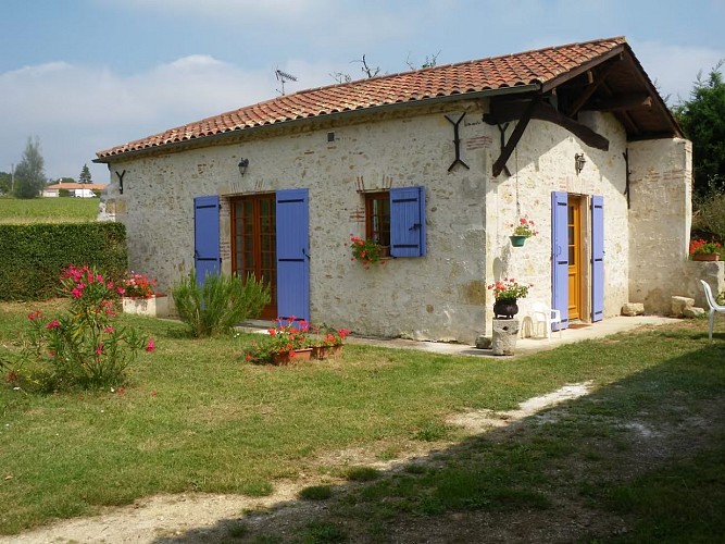 231b9d11-914a-4c25-b